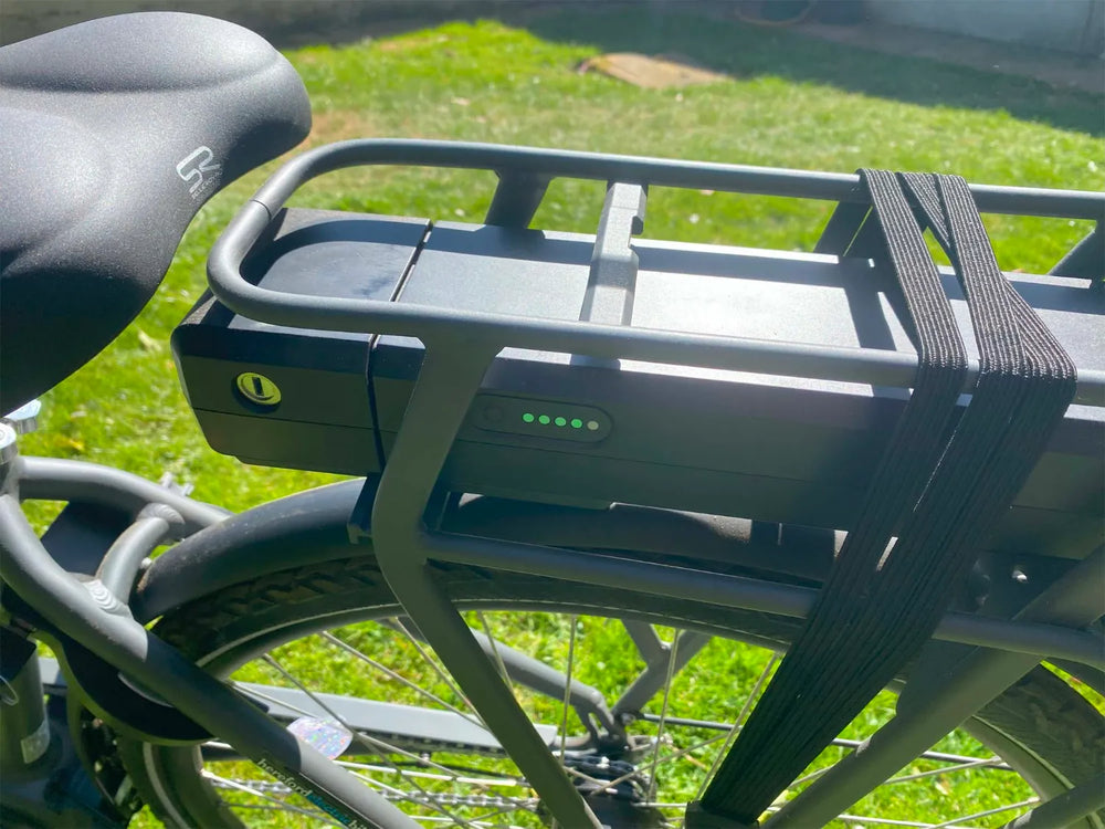 Ridgeback X2 Open Frame 2024