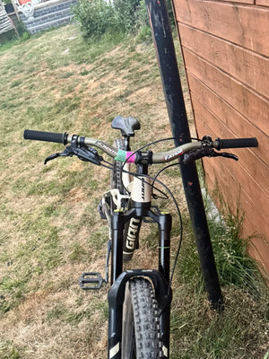 Giant Reign SX 1 2019