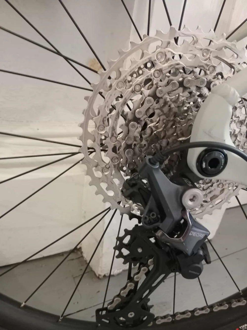 Voodoo BIZANGO PRO 2023