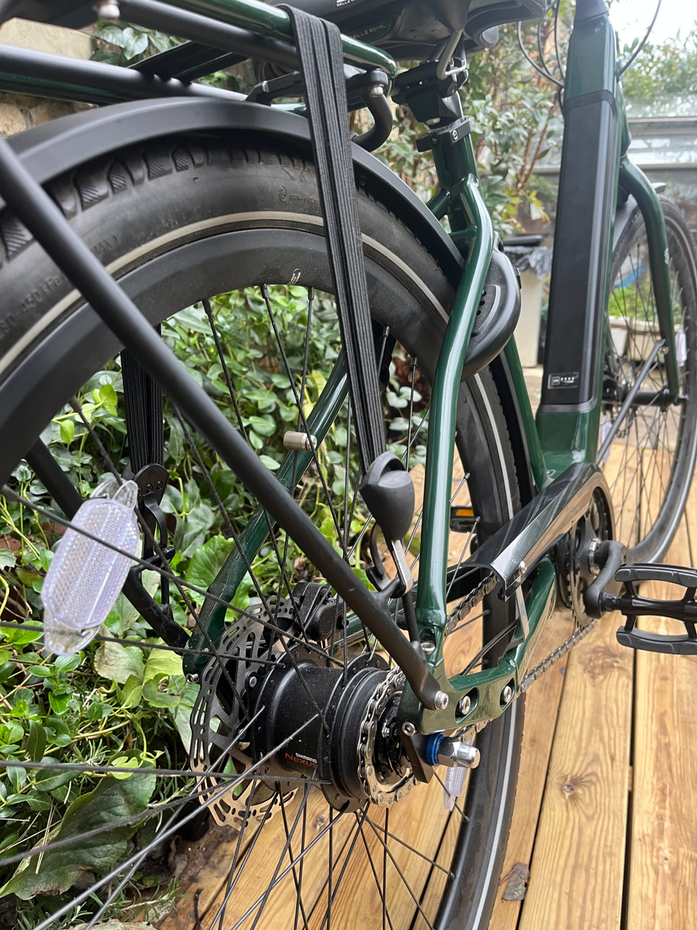 Ridgeback Electron INT 2024