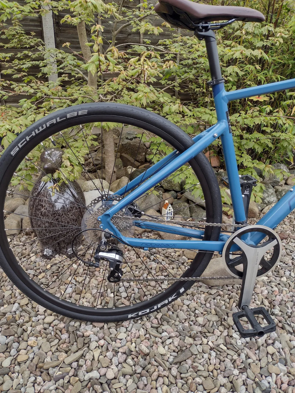 Ridgeback Flight 4.0 2019