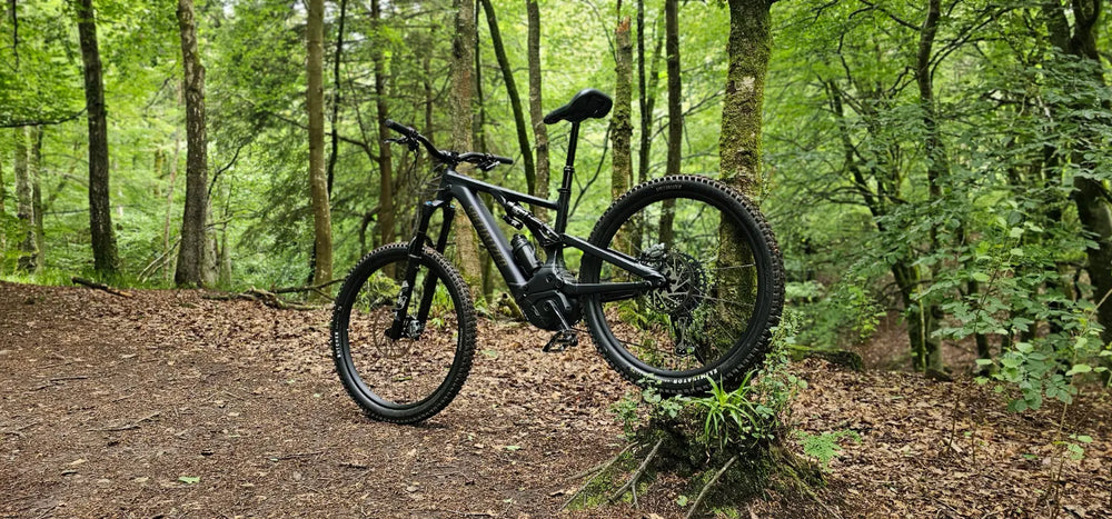 Specialized Levo Comp Alloy G3 2024