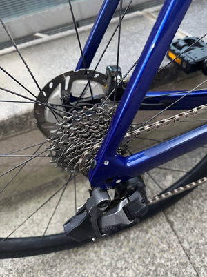 Trek Domane SL 6 Disc 2024