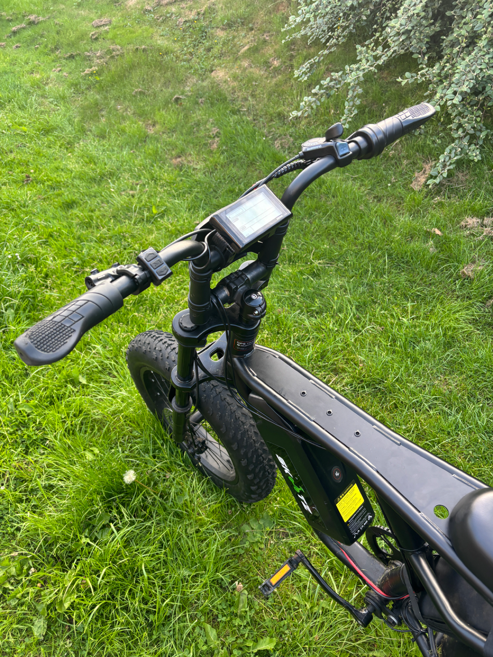 Custom Fat bike 2025