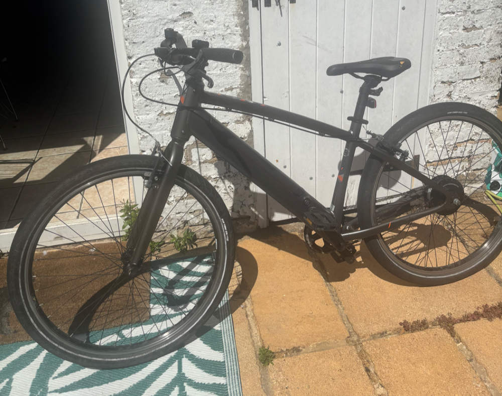 Carrera impel im 2022