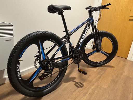 LSBIKE N/A 2025