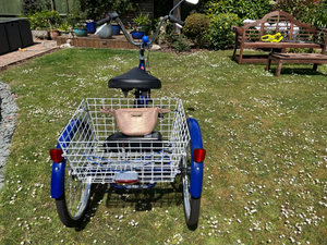 Probike Tricycle 2023