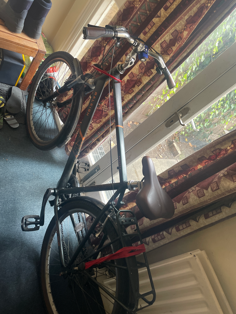 Raleigh Pioneer 700/38 Low Der Xs Muicolor 2024