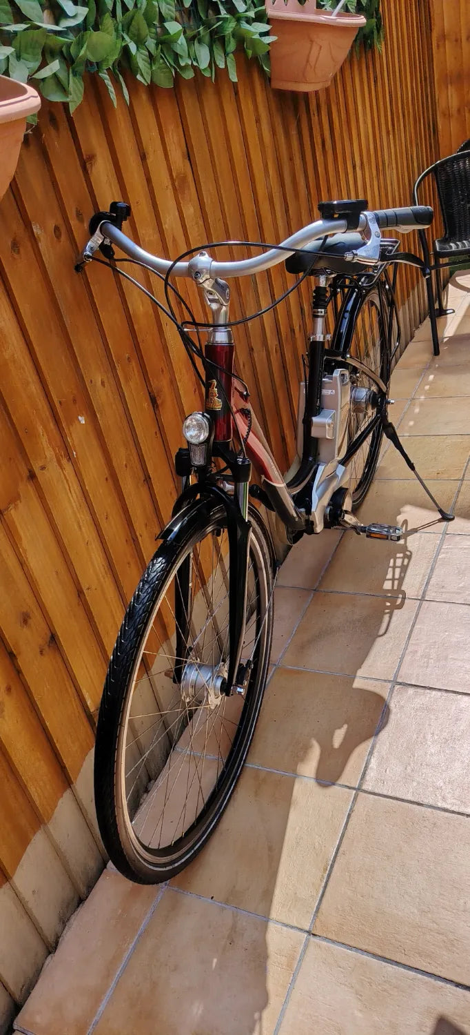 Raleigh Dover deluxe 2015