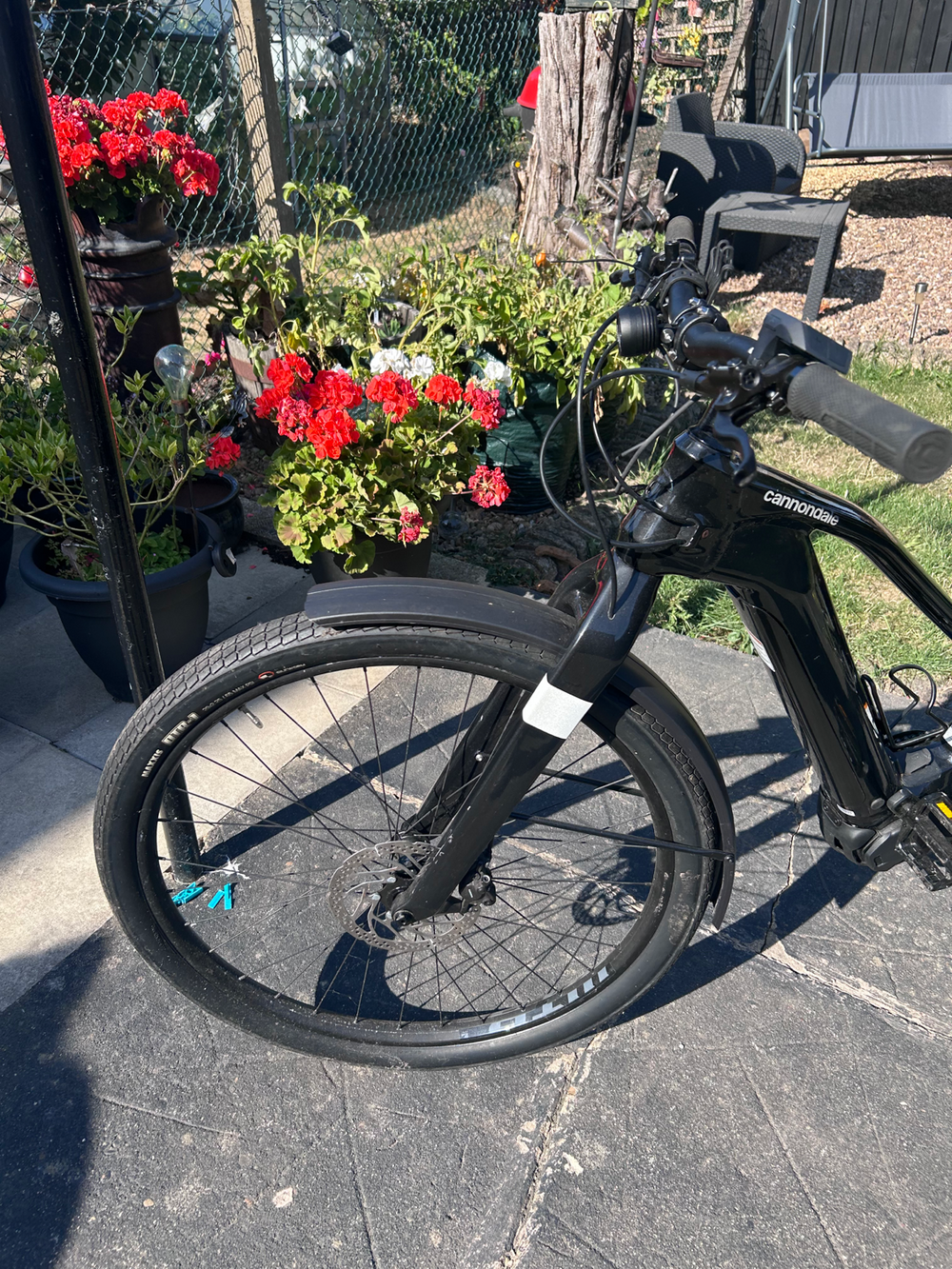 Cannondale Canvas Neo 2 2024
