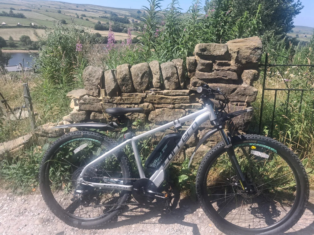 Carrera Vengeance-E Pro 2025
