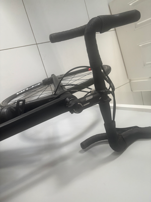 Silver Back Ultegra carbon 2024