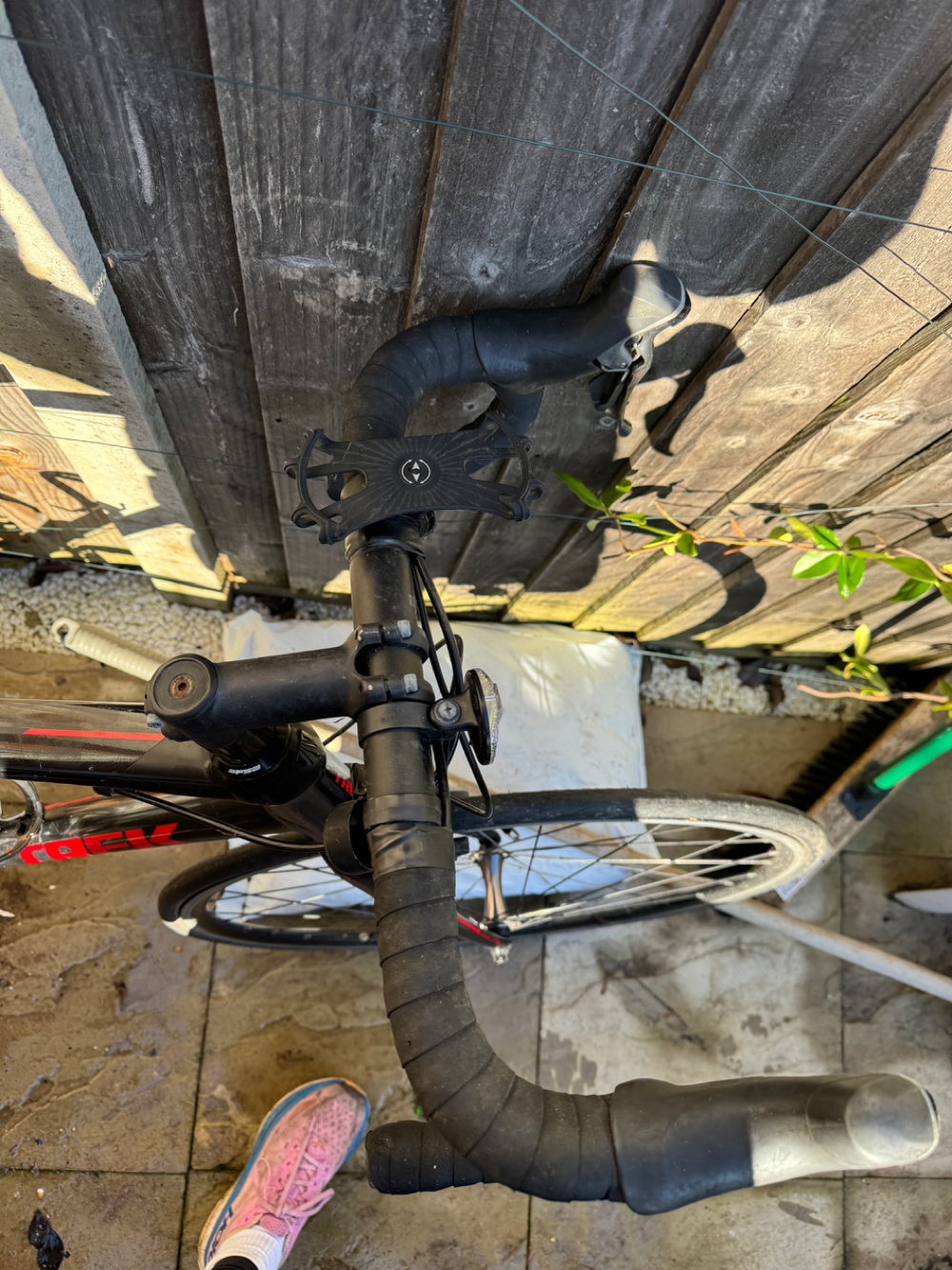 Trek Domane AL 2 2020