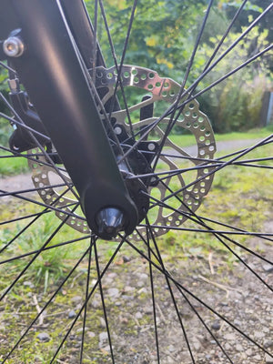 Gazelle Chamonix C5 HMS Low-Step 2022