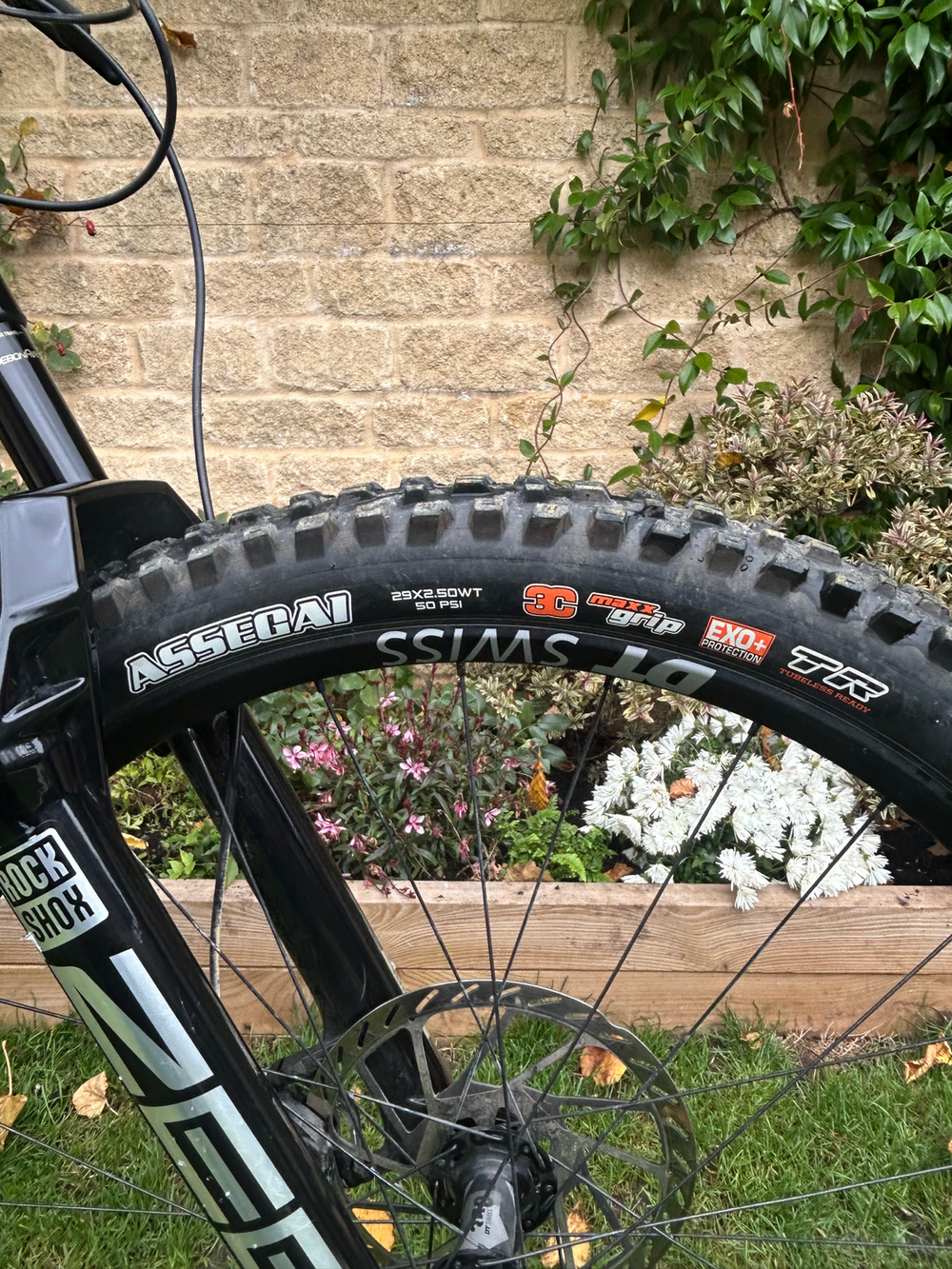 Canyon Torque Mullet CF 9 2023