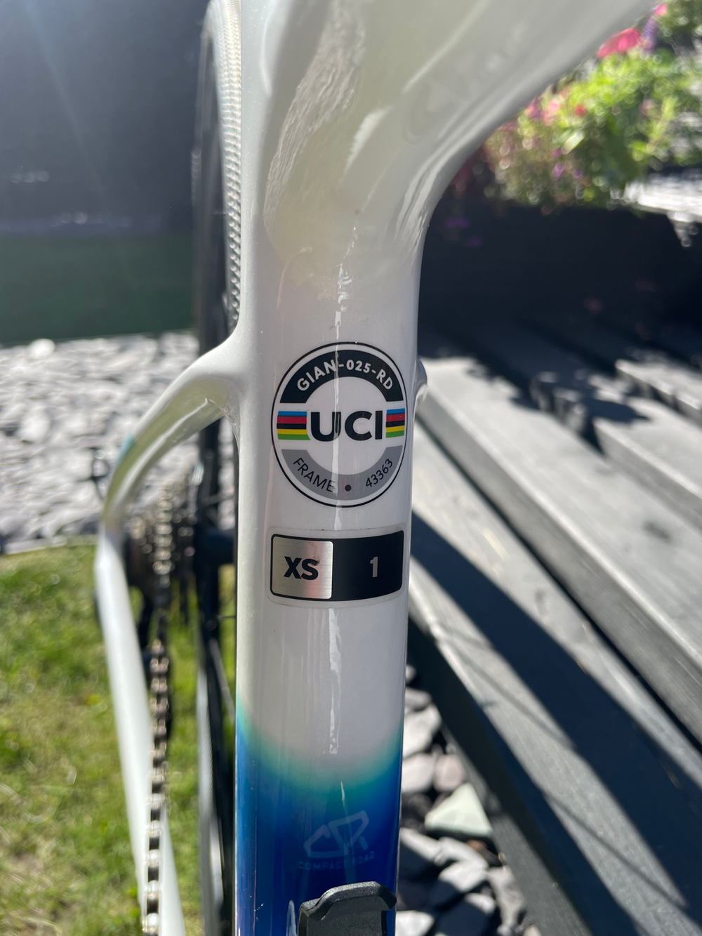 Liv Avail Advanced 1 2020