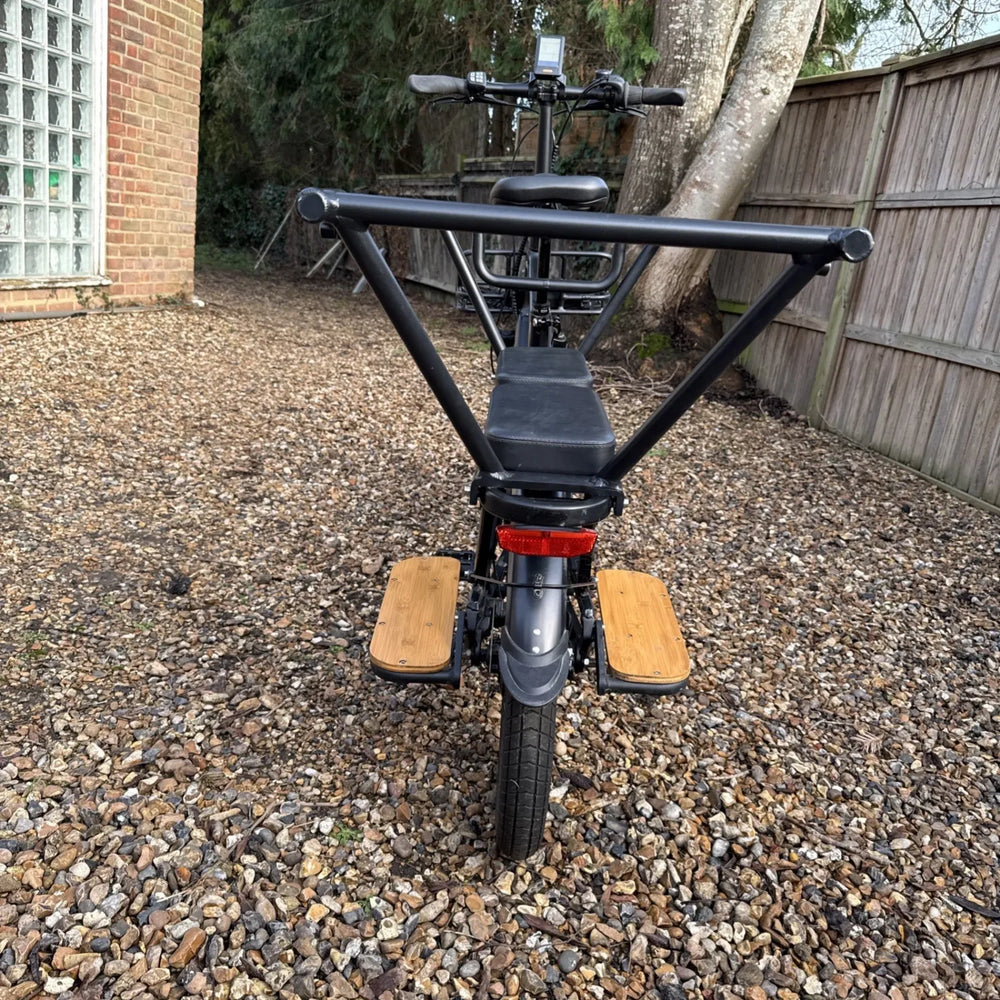 Estarli E20 Cargo Bike 2024