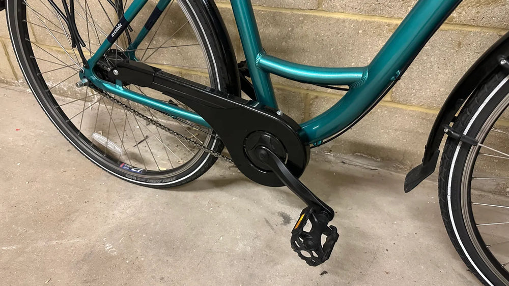 Ridgeback Avenida 7 2024