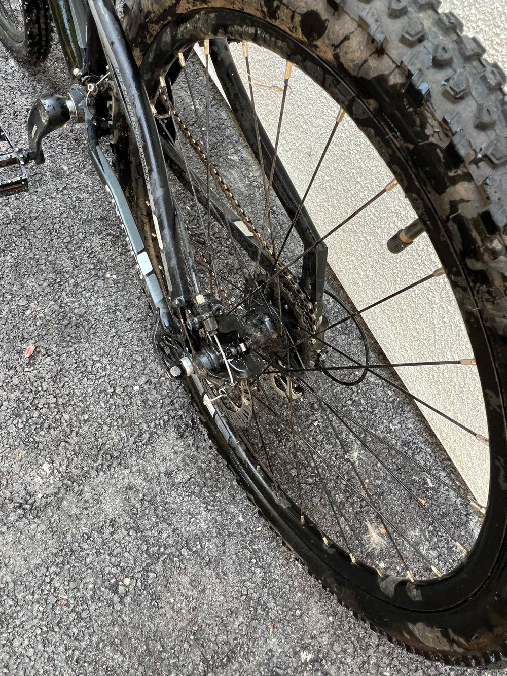 Carrera Vengeance Junior Mountain Bike 2021