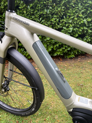 Cannondale Canvas Neo 2 2021
