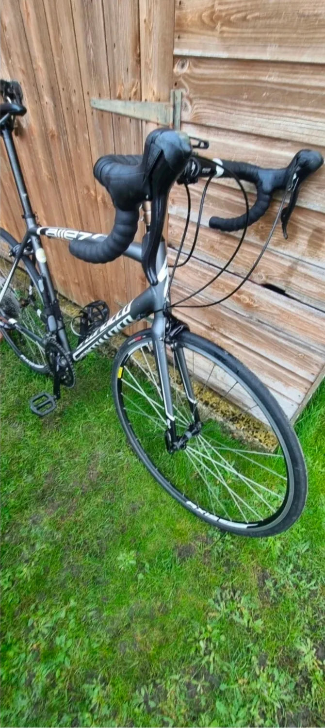 Specialized Allez Road 2026