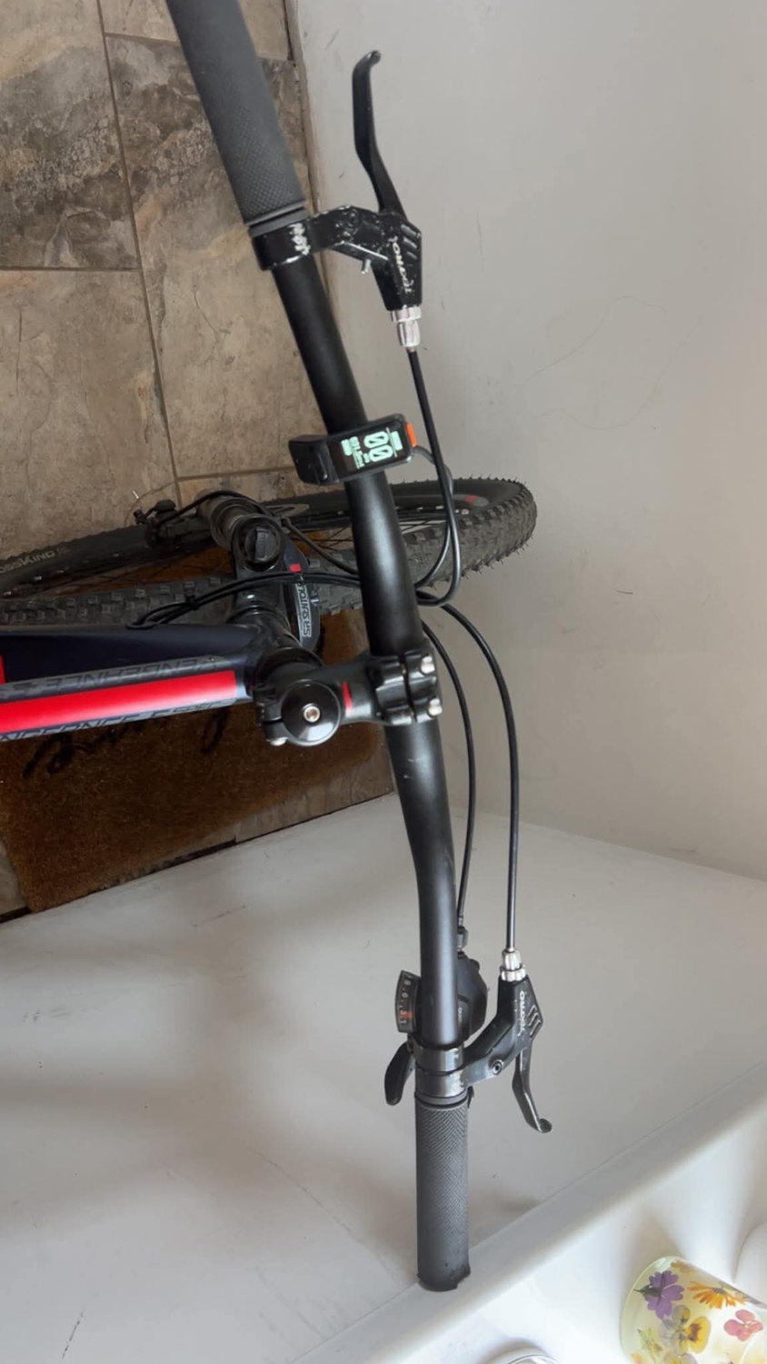 Carrera E spec 2019