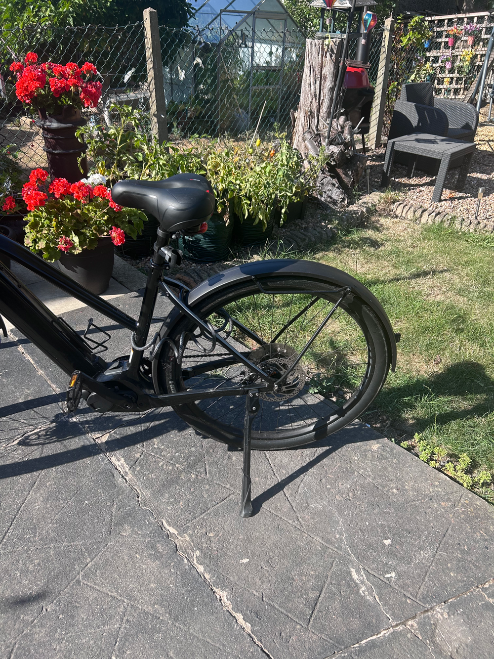 Cannondale Canvas Neo 2 2024