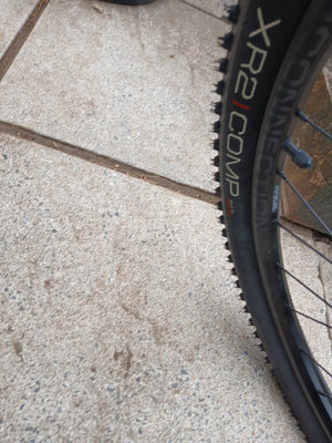 Trek Marlin 4 2025