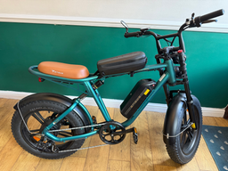 Engwe M20 750W 75KM+75KM Dual Suspension Long Range Electric Bike  2023