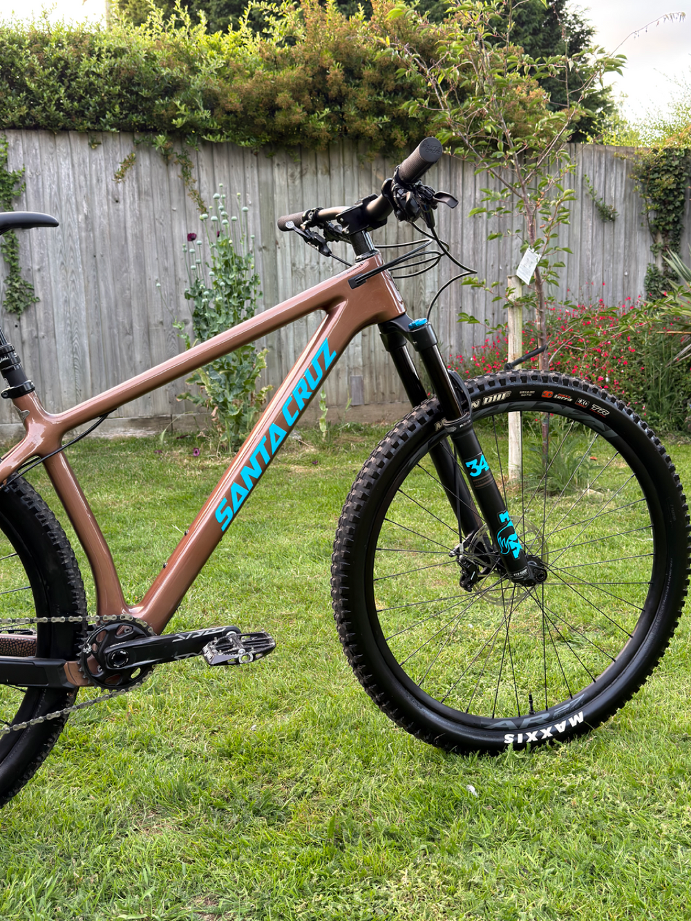 Santa Cruz Chameleon S / Carbon C / 29 2020