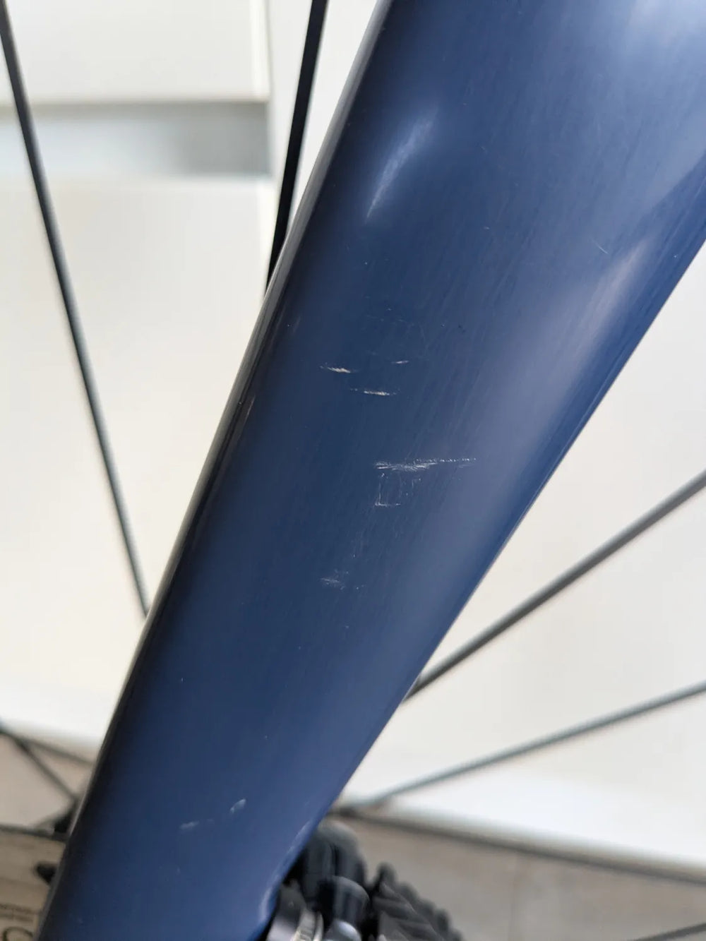 Condor Italia RC Disc Frameset 2023
