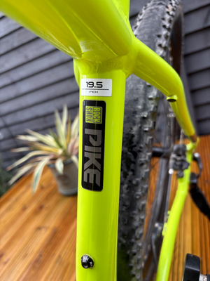 Trek Powerfly 5 2020