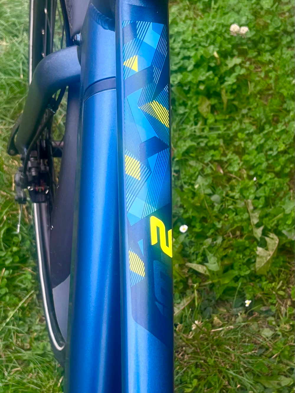 Carrera impel im 2022