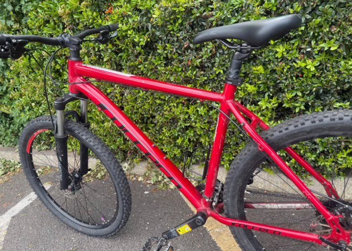 Carrera Valour Disc 2022