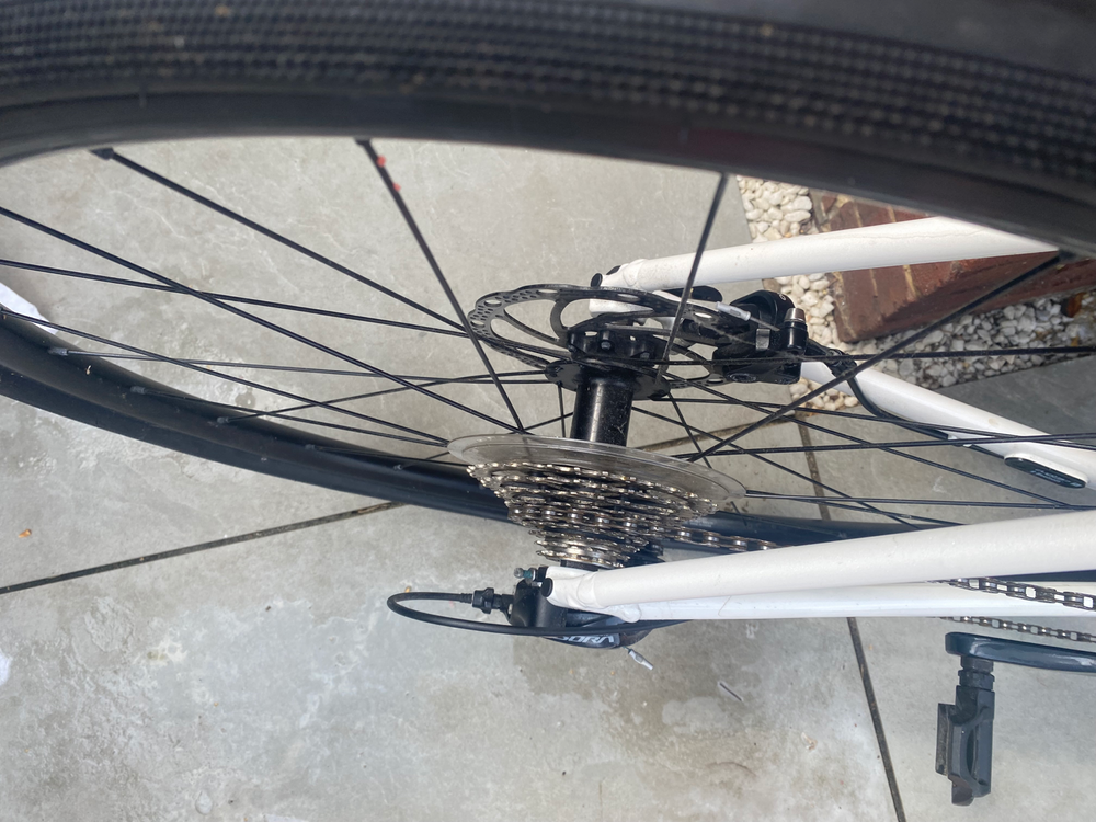 Trek Domane AL 3 Disc 2021