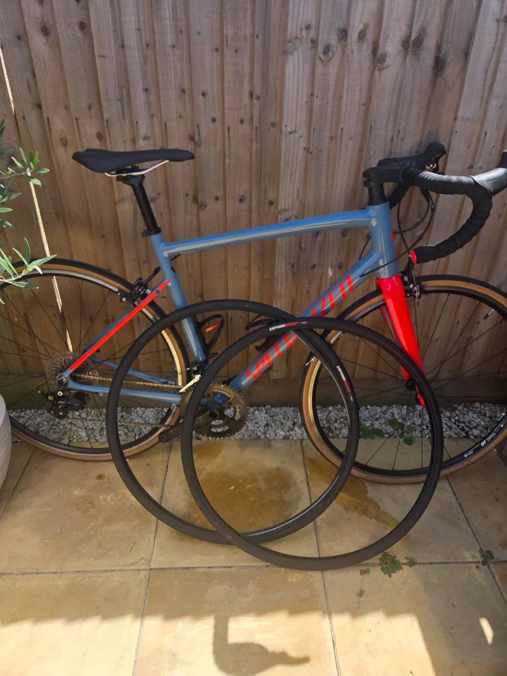 Specialized Allez E5 Elite 2018