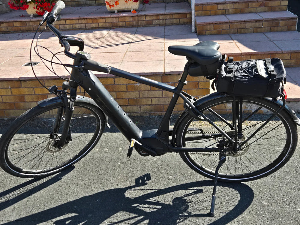 TREK VERVE 3 2021