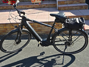 TREK VERVE 3 2021
