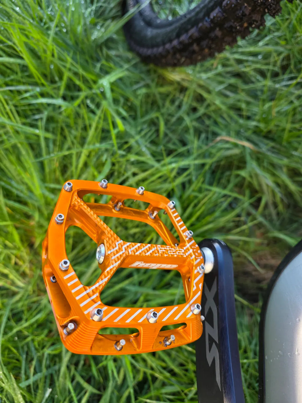 Specialized Stumpjumper 15 Fox Coil Alloy 2025