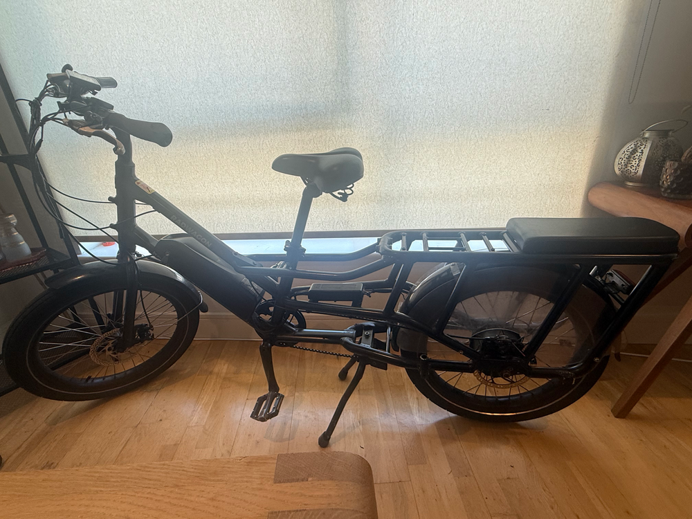 Rad Power RadWagon 4 2024