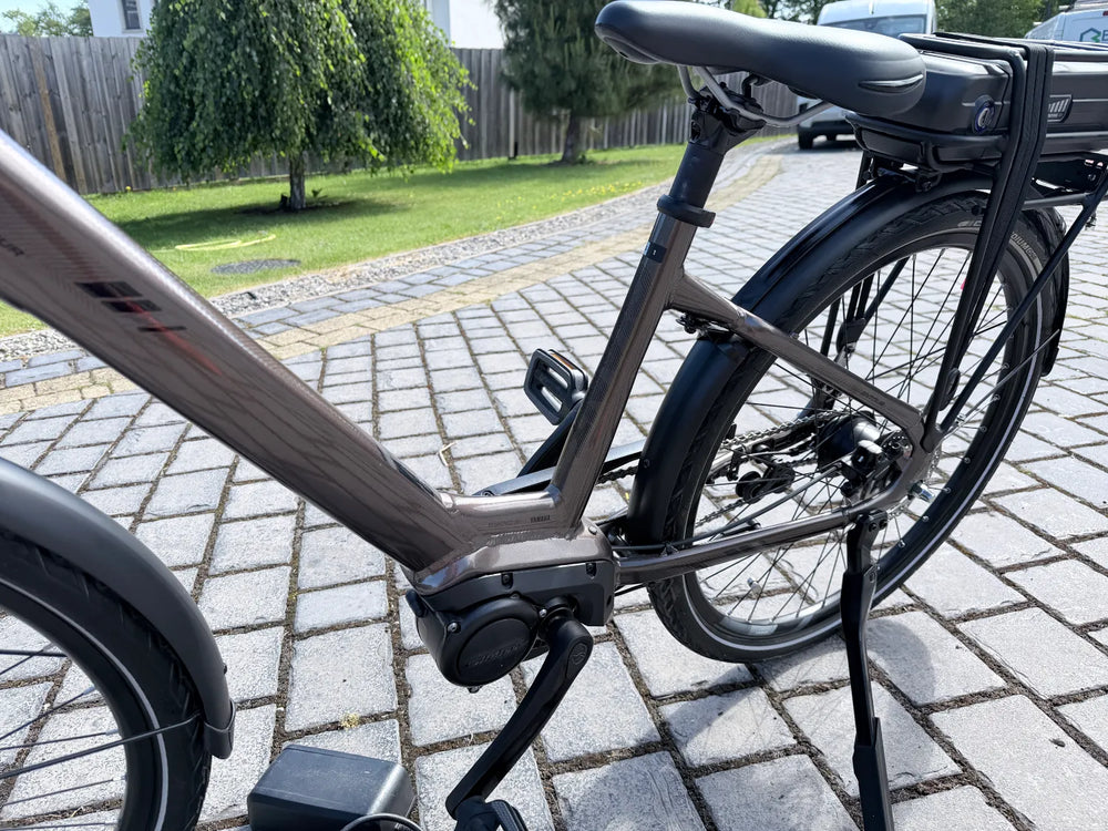 Giant ENTOUR E+ 1 NEXUS ELECTRIC BIKE 2020