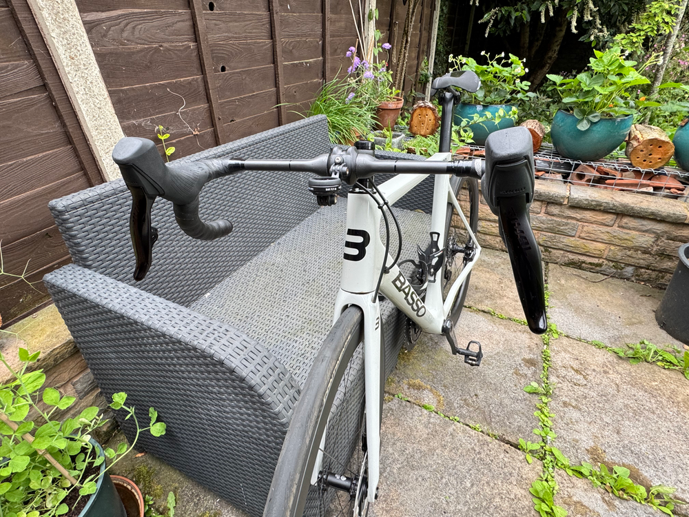 Basso Venta 2024