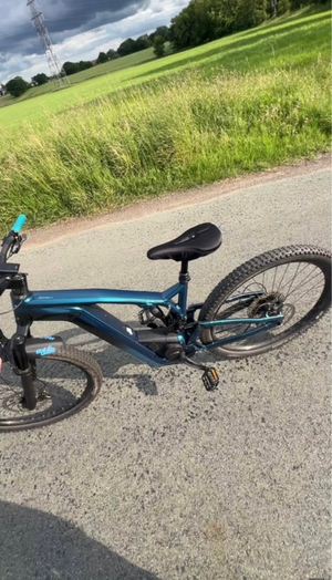 Bergamont E-trailster 150 Expert 2024