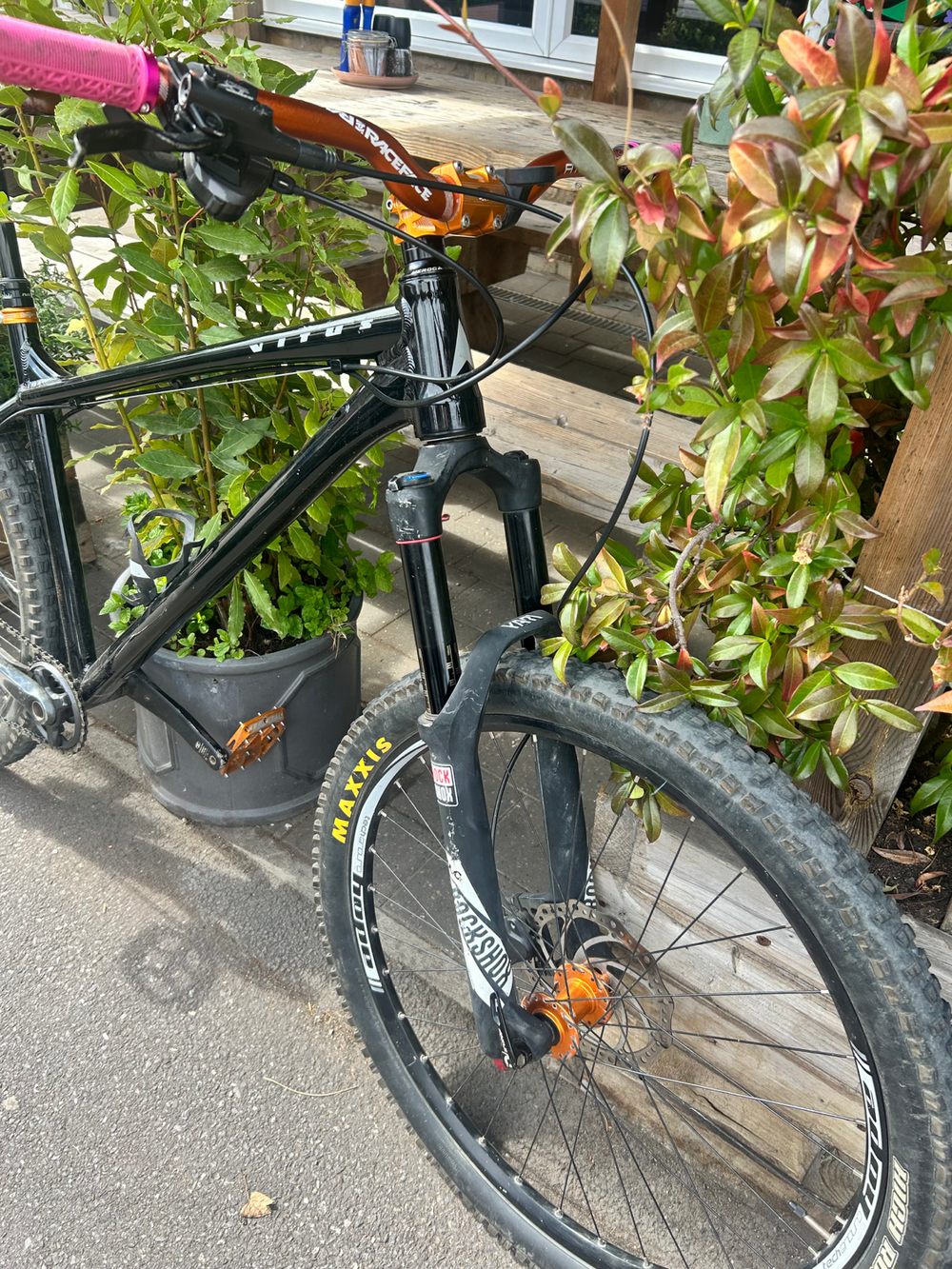 Vitus Venon 2022