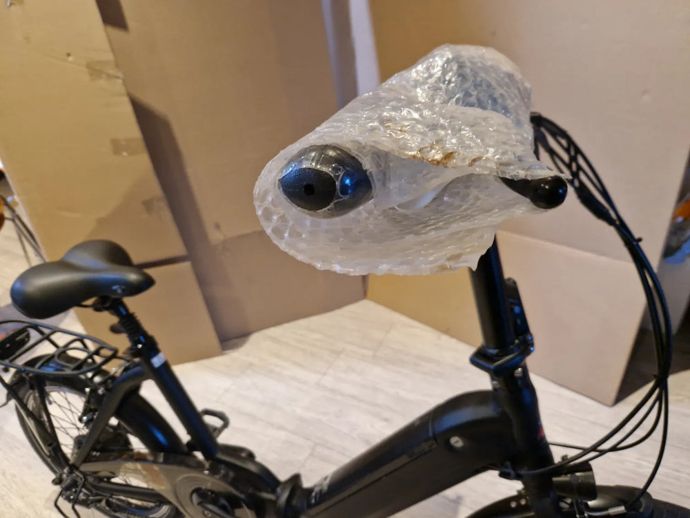 Woosh Rambetta  2020