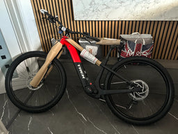 Trek Powerfly+ 4 Gen 5 M Gloss Radioactive Red/Matte Dark Star 2025