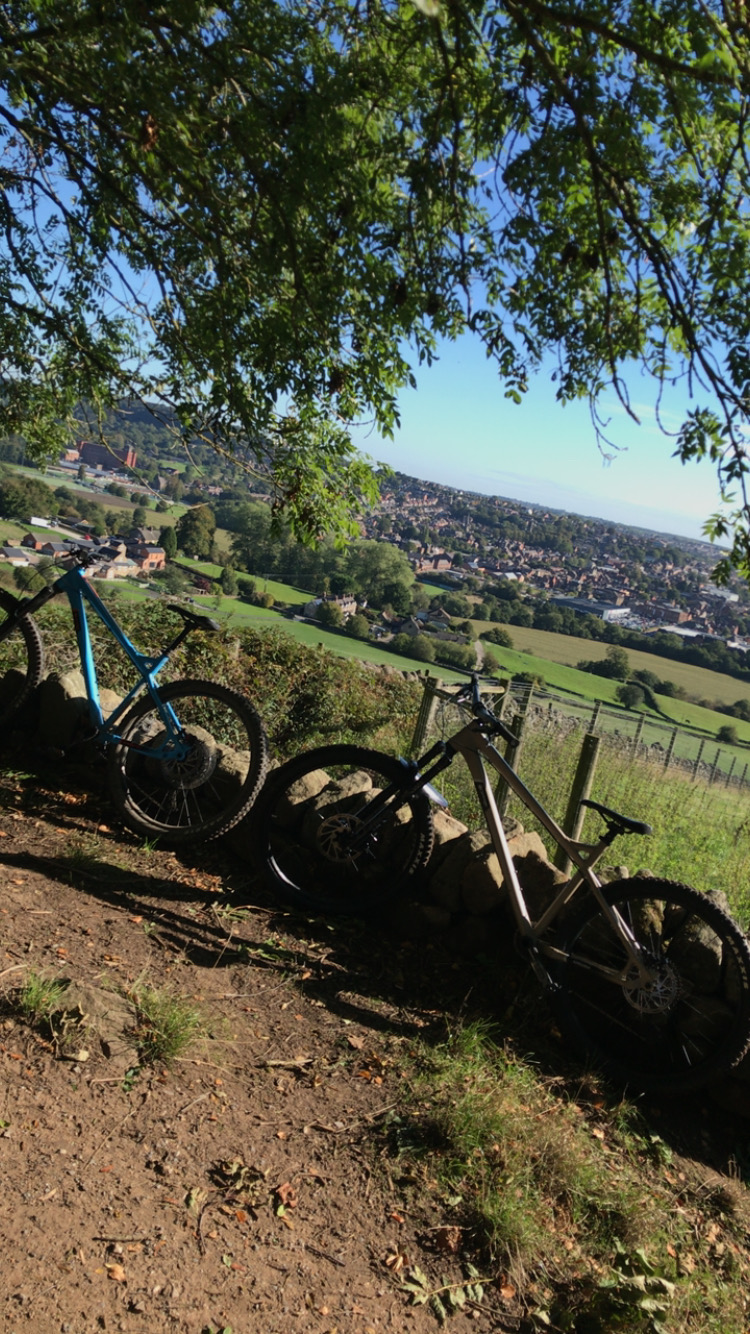 Orange Crush MX Pro 2022