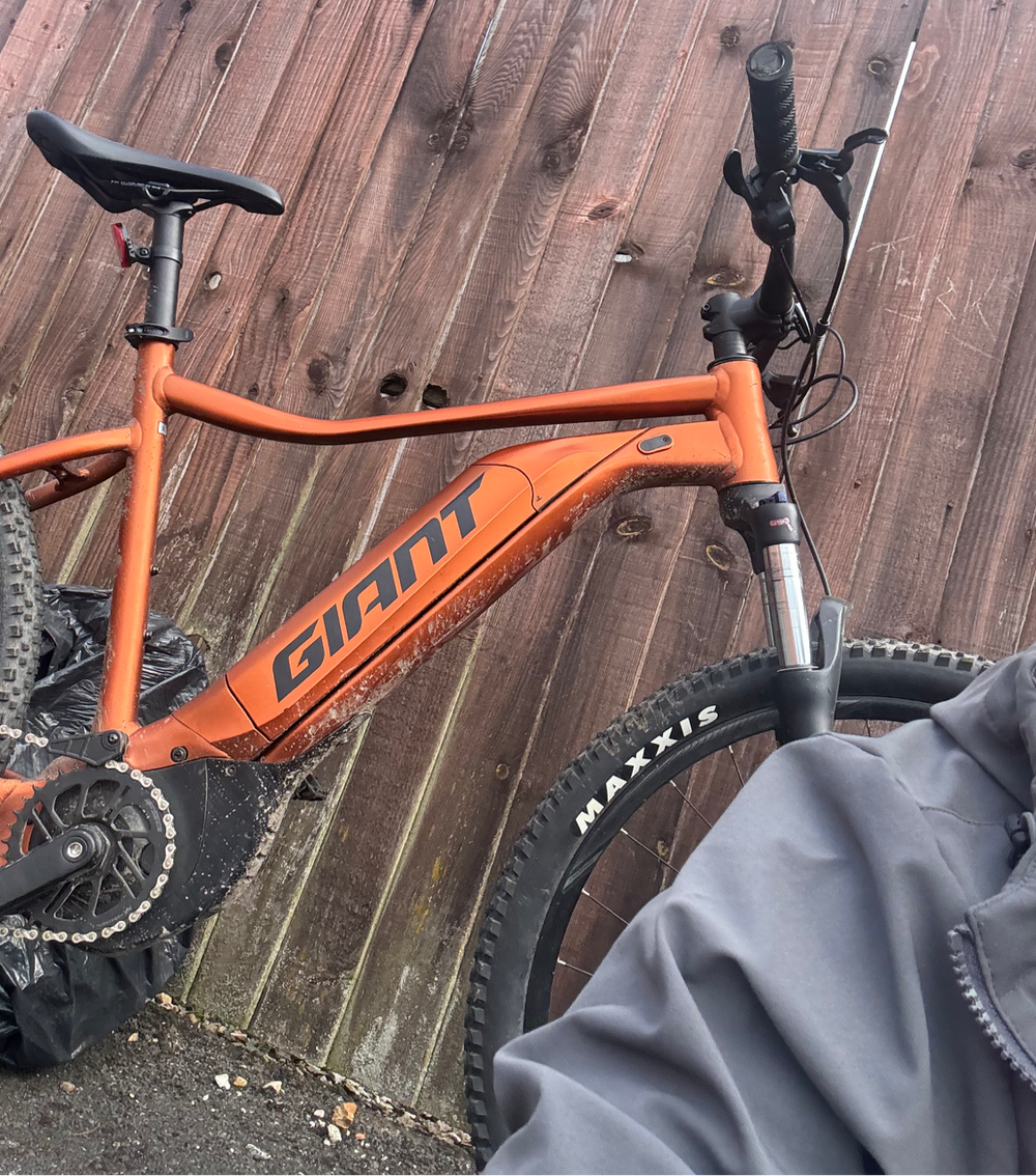 Giant 2013 Anthem X Advanced 29er 1 2012