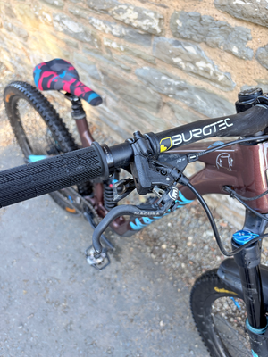 Marin Alpine Trail 1 2025