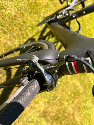 Basso Laguna 2022